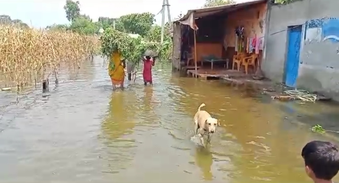 गांव में भरा गंगा का पानी