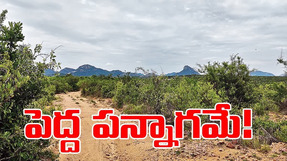 YSRCP Leaders Land Grabbing in Punganur