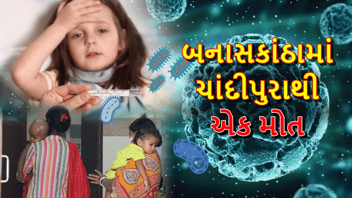 બનાસકાંઠામાં ચાંદીપુરા વાયરસનો કહેર