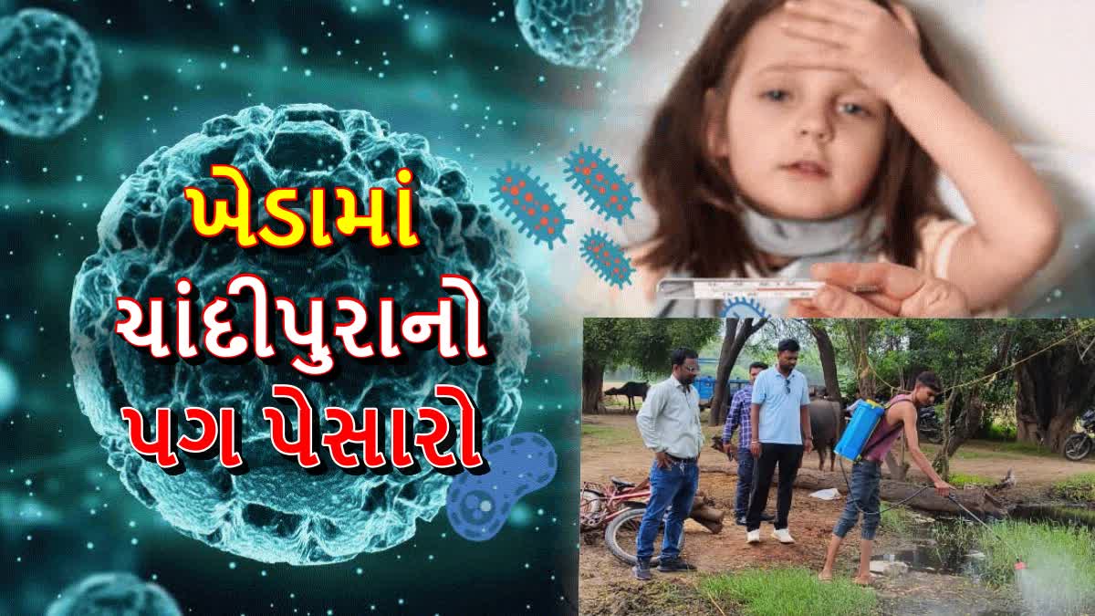 ખેડામાં ચાંદીપુરાનો પગ પેસારો