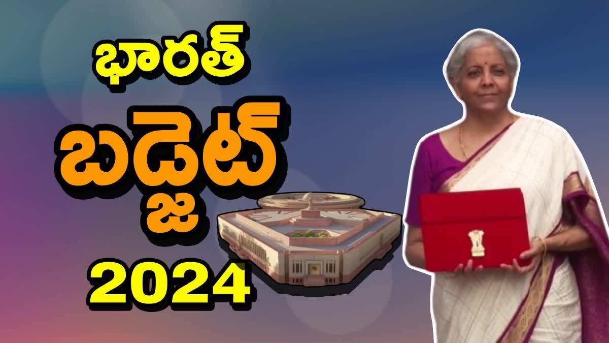 nirmala sitharaman budget 2024