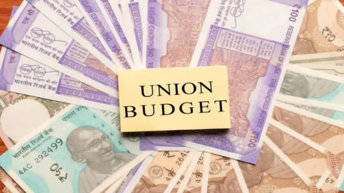 Union Budget 2024 With Focus On Viksit Bharat: Key Numbers To Be Watched