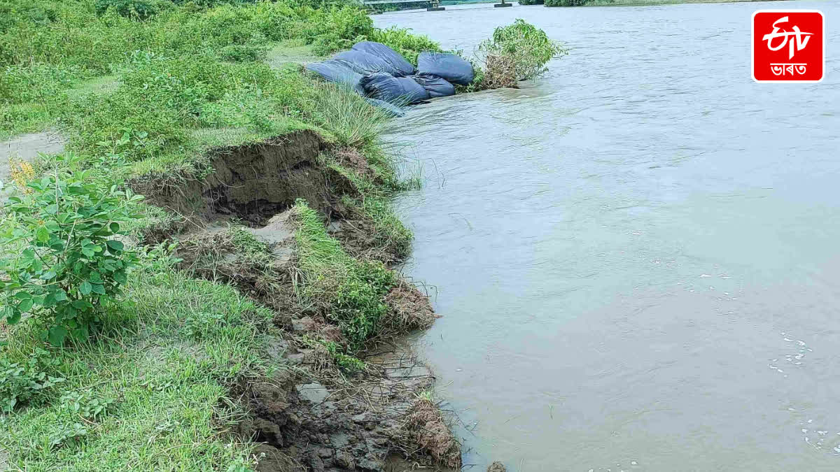 Erosion in Assam