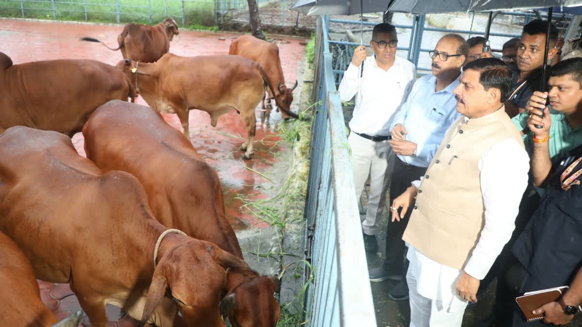 MOHAN YADAV GOVT ANIMAL HUSBANDRY NEW POLICY