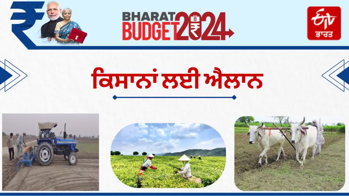 AGRICULTURE BUDGET