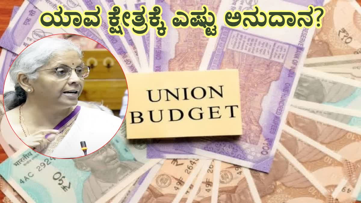 FINANCE MINISTER NIRMALA SITHARAMAN  UNION BUDGET 2024  NIRMALA SITHARAMAN  UNION BUDGET