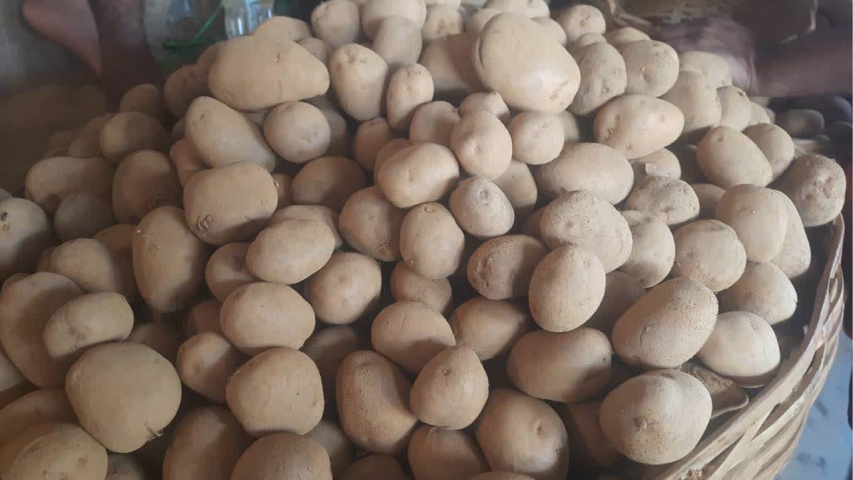 Potatoes Price Hike