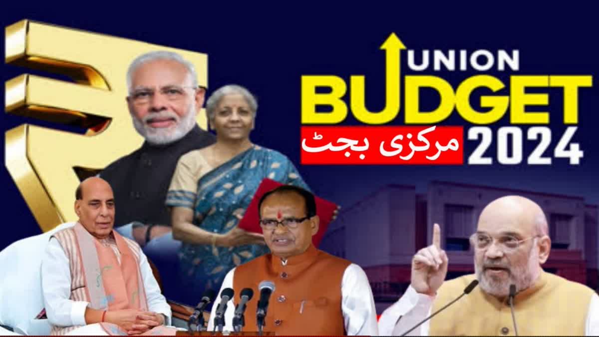 PM Modi on budget