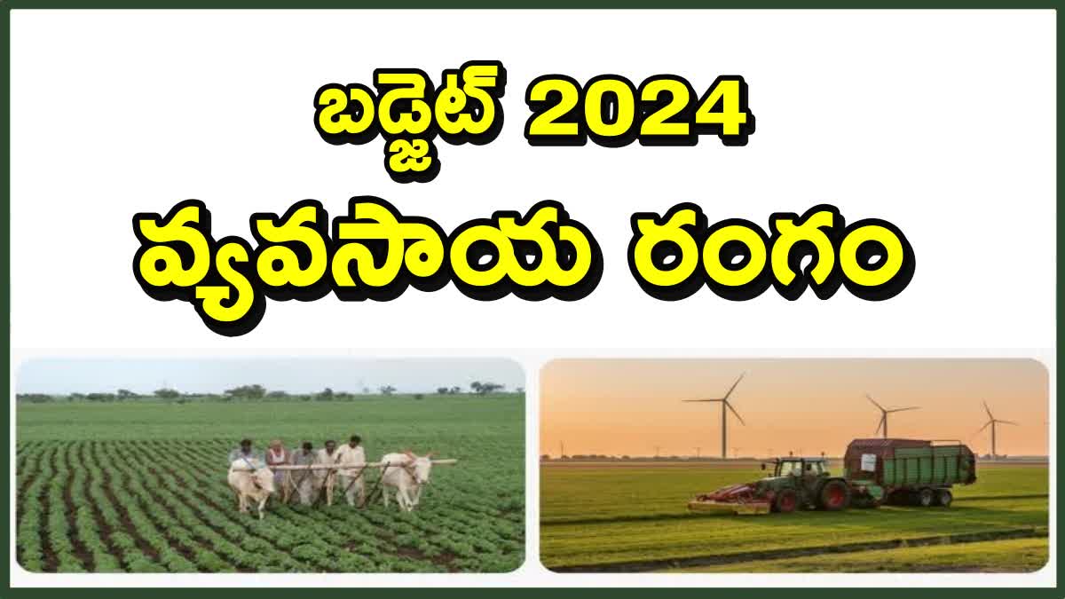 Agriculture Budget 2024