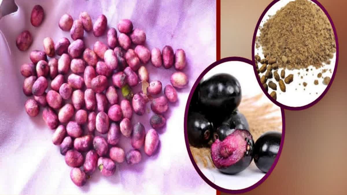 jamun-seeds