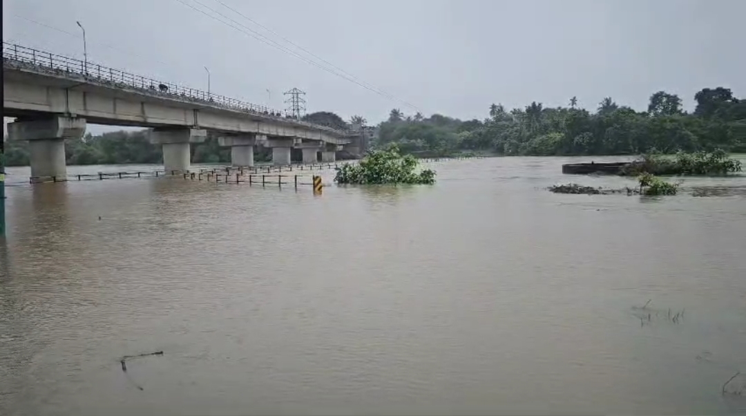 નવસારીમાં ભારે વરસાદની સ્થિતિ સર્જાઇ છે