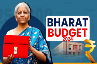 Nirmala Sitharaman present budget