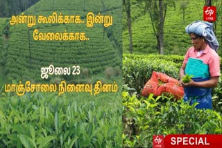 மாஞ்சோலை