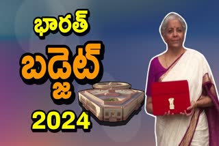 nirmala sitharaman budget 2024