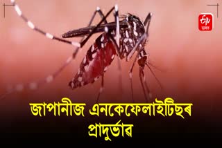 severe outbreak of japanese encephalitis across Barpeta, one dead in jorhat