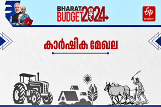 AGRICULTURE Nirmala Sitharaman  UNION BUDGET 2024  കാര്‍ഷിക മേഖലയ്ക്ക് ബജറ്റില്‍ എന്ത്  കേന്ദ്ര ബജറ്റ് 2024