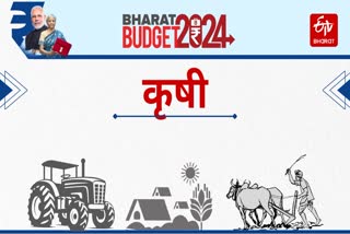 Union Budget 2024 Nirmala Sitharaman mega announcements for agri sector