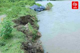 Erosion in Assam