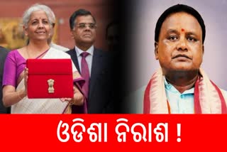 Union budget 2024: ପୂର୍ବ-ଭାରତକୁ ସାମଗ୍ରିକ ଫୋକସ, କିନ୍ତୁ ଓଡିଶାକୁ ମିଳିଲାନି ସ୍ବତନ୍ତ୍ର ପ୍ୟାକେଜ