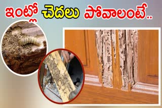 Get Rid Of Termites