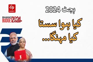 BUDGET 2024