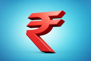 Union Budget 2024: FM Emphasises Easing FDI Norms To Promote Rupee Usage