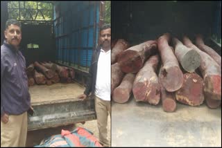 one crore Rs worth Red Sandal seized in Tumakur