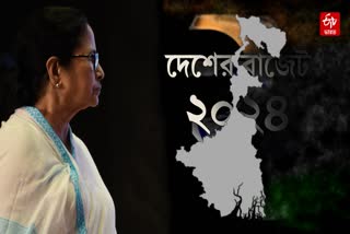 Mamata Banerjee on Union Budget 2024