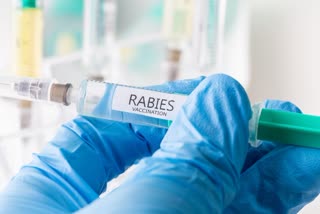 Rabies Symptoms