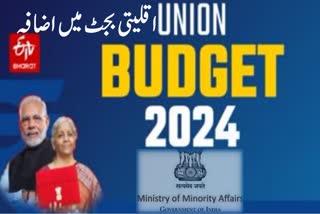 Budget 2024-25: