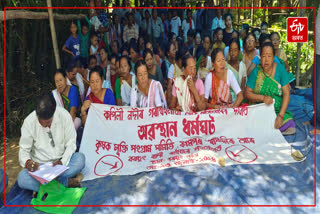 KMSS protest in Kampur demanding prevention of erosion in Kapili river