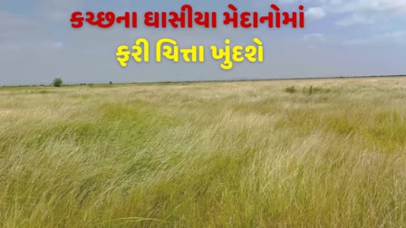 ચિત્તા બ્રીડિંગ સેન્ટર પ્રોજેક્ટ