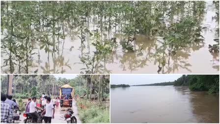 Flood Effect in Andhra Pradesh