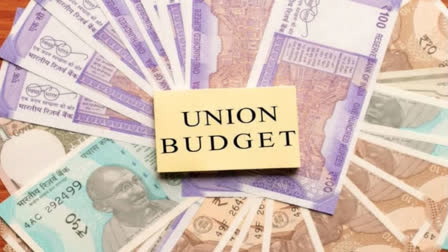 Union Budget 2024 With Focus On Viksit Bharat: Key Numbers To Be Watched