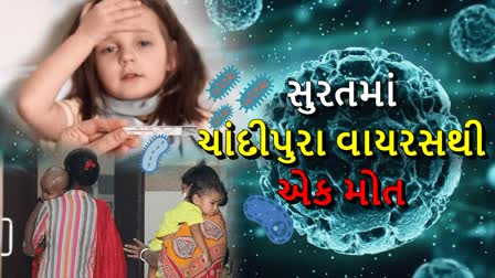 સુરતમાં ચાંદીપુરા વાયરસથી એક મોત