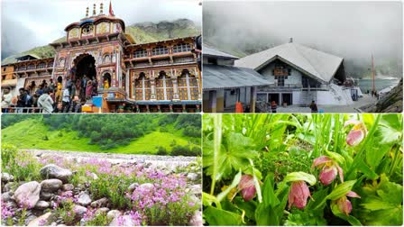 Chardham Yatra is getting affected due to heavy rain