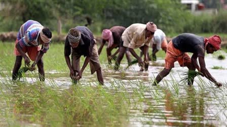 Government opened treasury for farmers