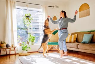 PET PSYCHOLOGY  pets  DOGS  MENTAL HEALTH ISSUES IN DOGS