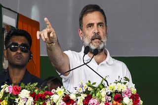 Congress MP and Leader of Opposition in Lok Sabha, Rahul Gandhi