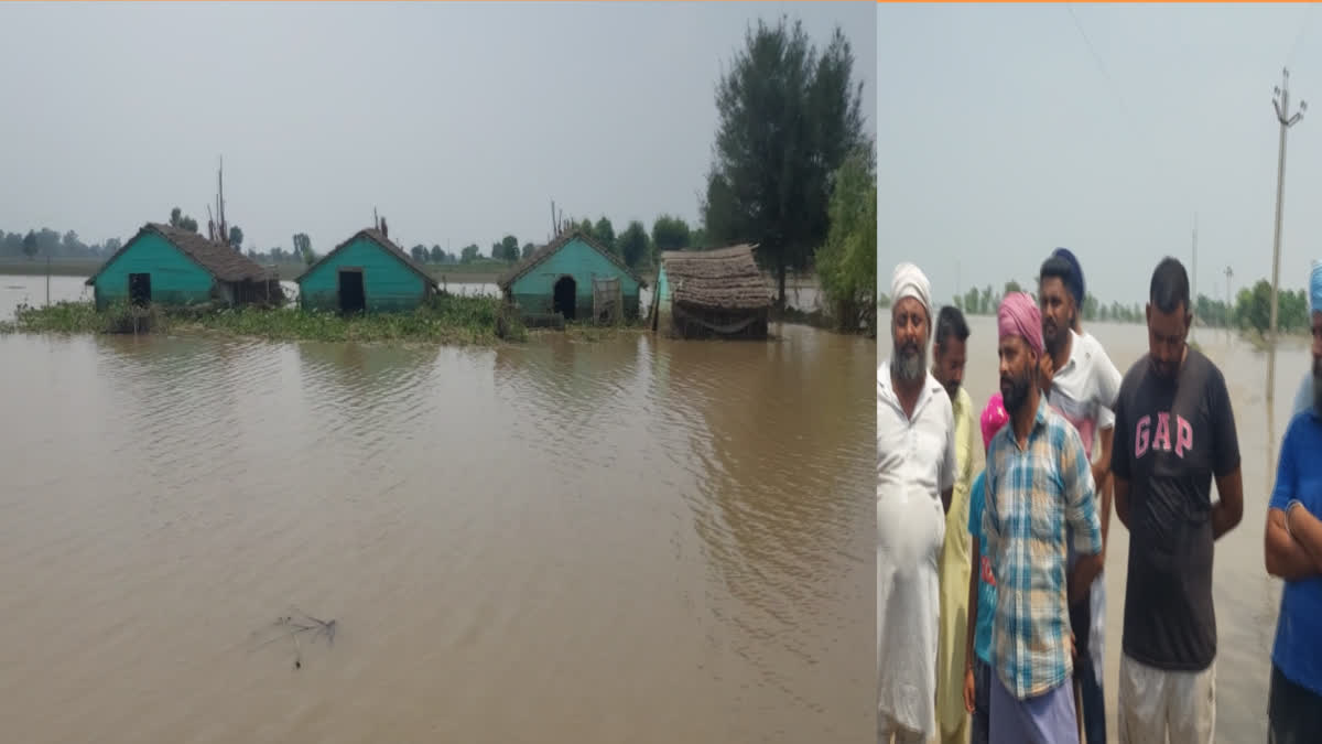 Different areas of Ferozepur under the flood