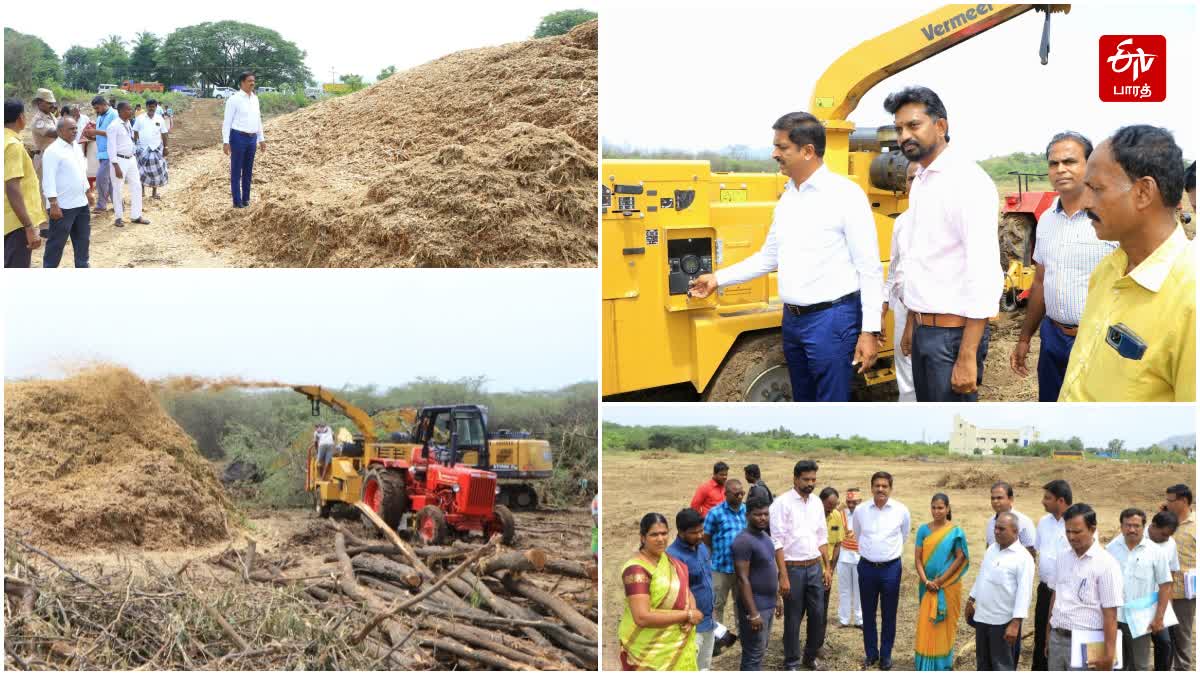 வேலூரில் சீமைக்கருவேல மரங்கள் அகற்றும் பணியை ஆட்சியர் ஆய்வு செய்தார்