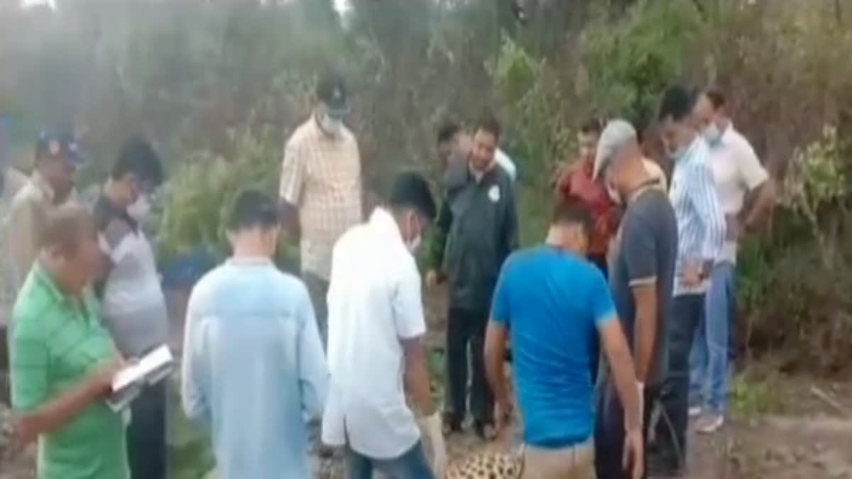 Tanakpur Leopard Died