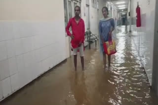 Rainwater entered Pathankot's government hospital
