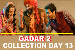 Gadar 2 Collection Day 13