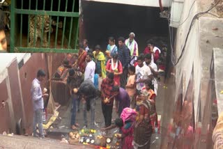 Wildlife_movement_in_Tirumala_footpaths