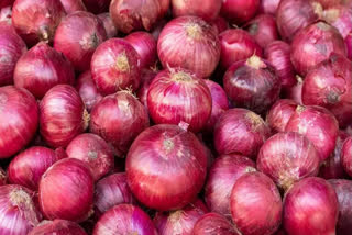 Congress stages protest in Pune to demand withdrawal of 40 per cent exports duty on onions