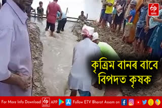 Farmers in danger for artificial floods in Nalbari