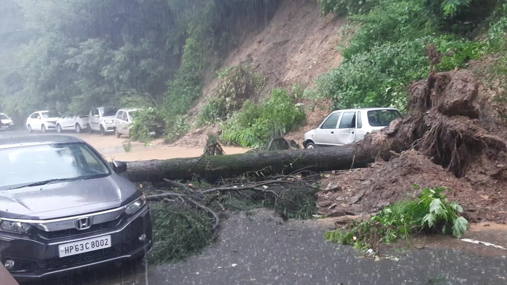 Heavy Rain in Shimla