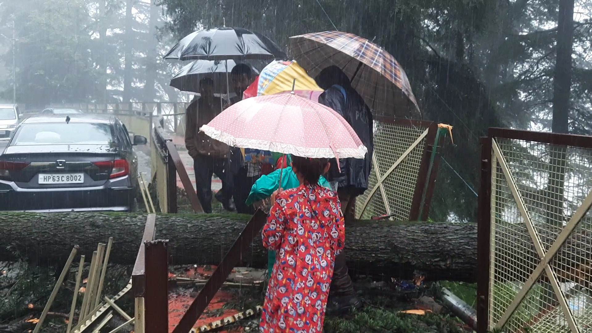 Heavy Rain in Shimla