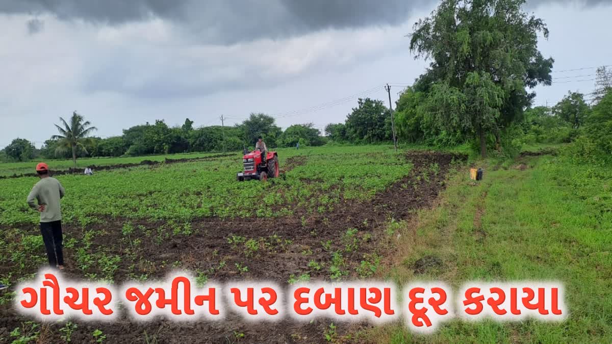 સોમનાથ વહીવટી તંત્રએ કરોડોની ગૌચર જમીન પર દબાણ દૂર કર્યા